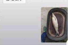 遇上催收怎么報(bào)警？掌握正確應(yīng)對方法