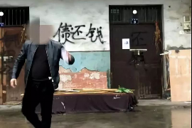 蛋花花催收是哪里號(hào)碼？