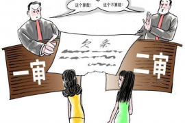 沒借條上門討債：法律風(fēng)險與應(yīng)對策略