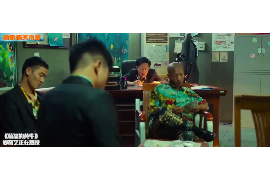 平安催收聯(lián)系人出庭：法律程序與債權(quán)人權(quán)益保護(hù)