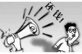 青海清數(shù)公司排名：揭秘青海地區(qū)數(shù)據(jù)服務(wù)領(lǐng)域的佼佼者